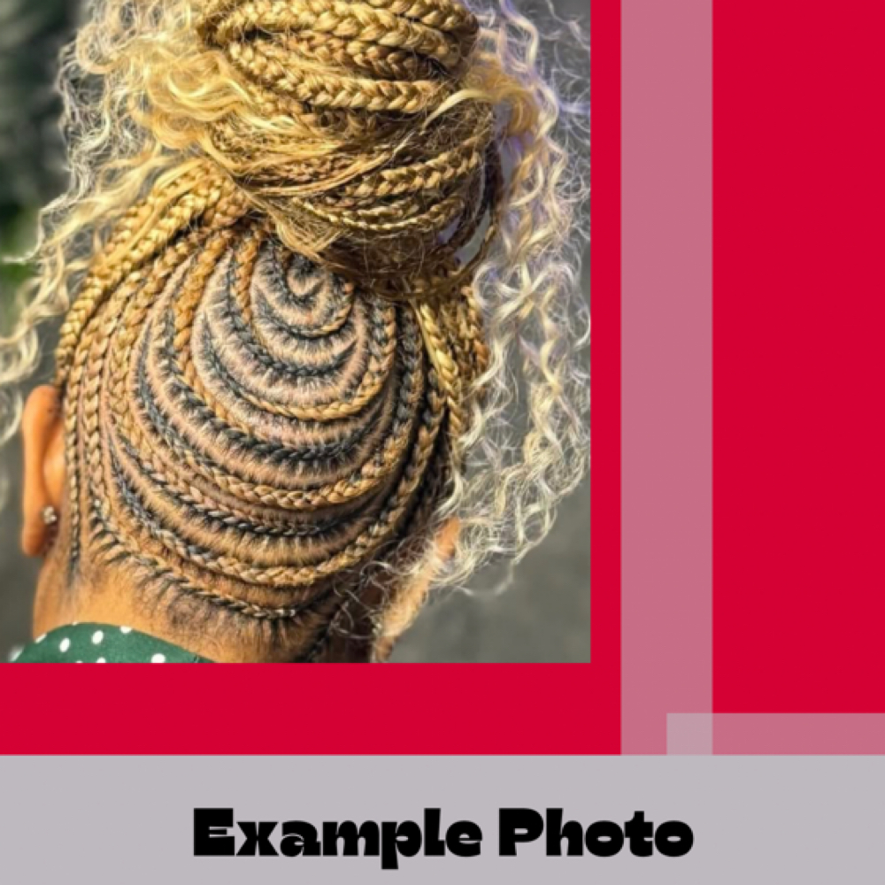 Braided Ponytail at Artistry of Braiding in Milwaukee, WI