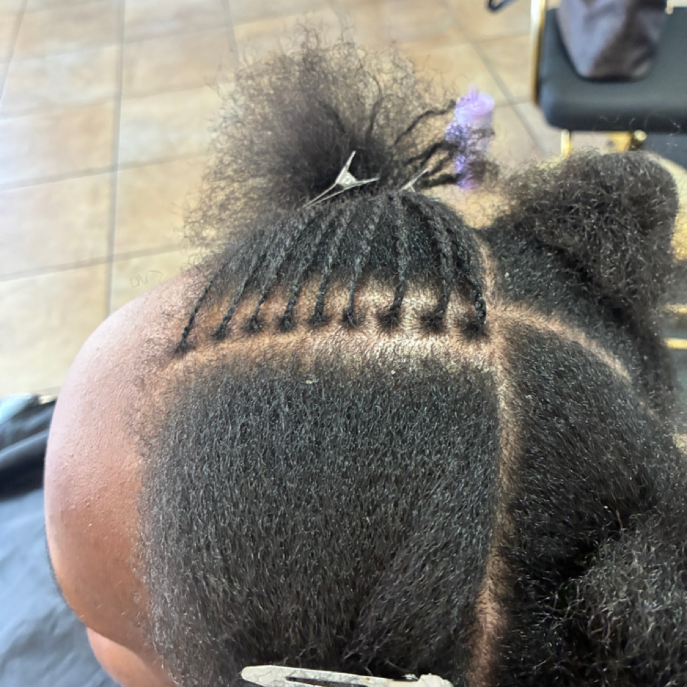 Starter Micro- Twist Or Braids at Eco Lux Salon in Madison, AL