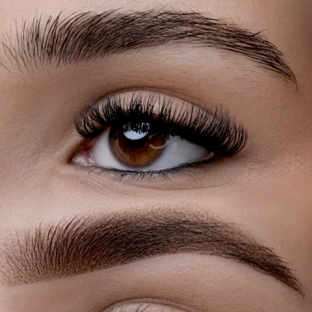 Teddy Brows at Posh Cosmetic Ink in Sarasota, FL