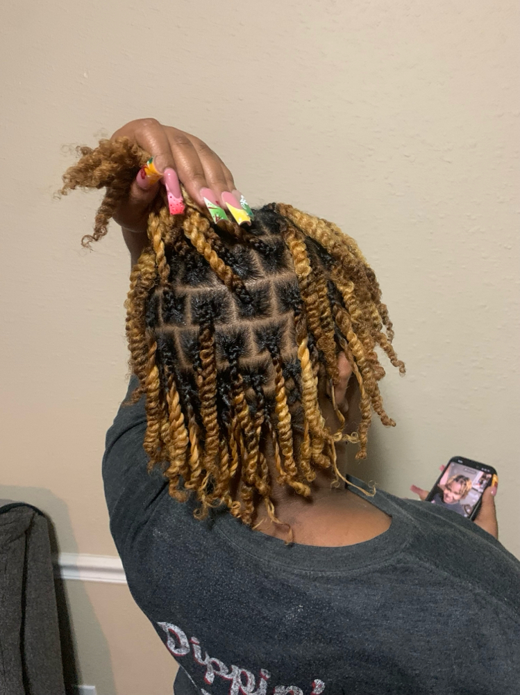 2 Strand Twist