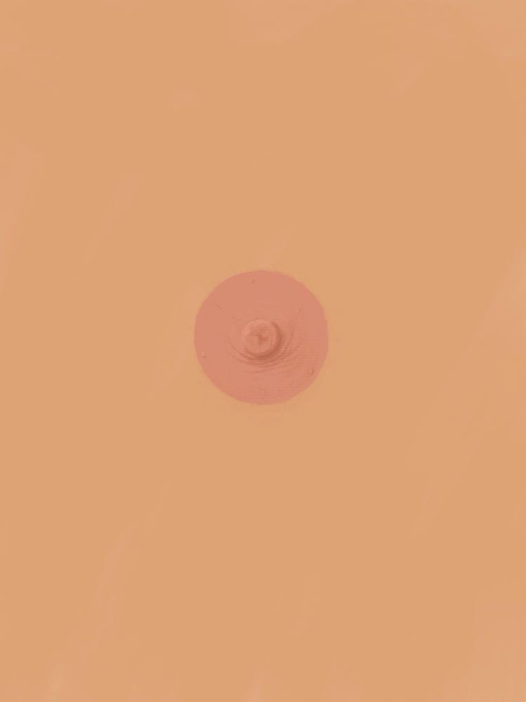 3D Areola/Nipple Reconstruction