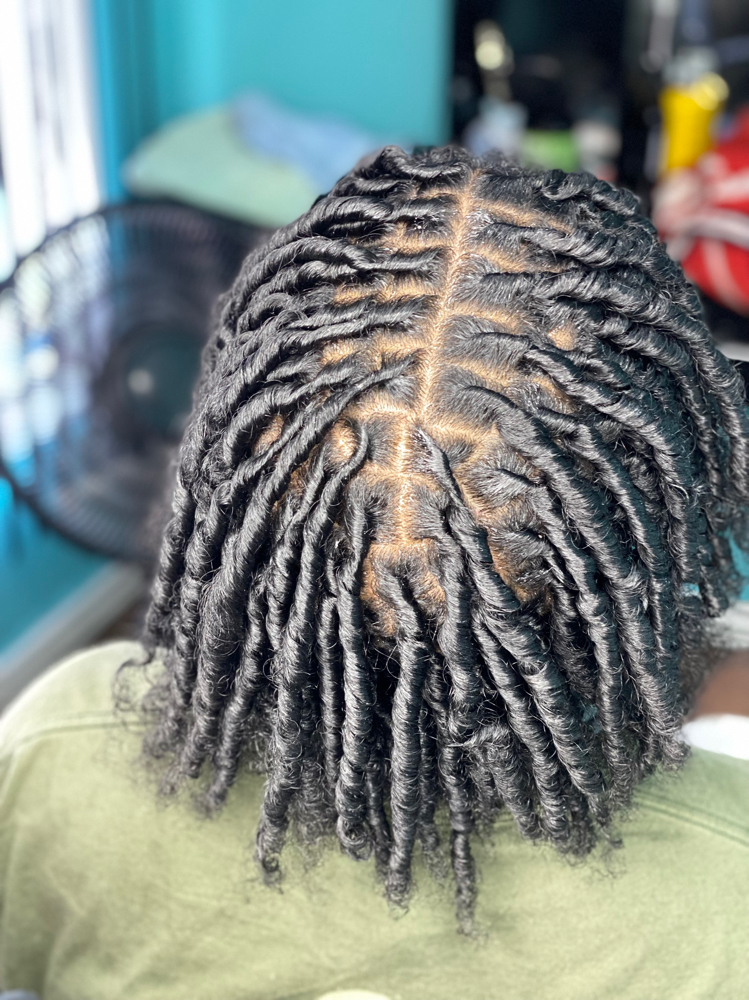 Starter Locs (No Style) long
