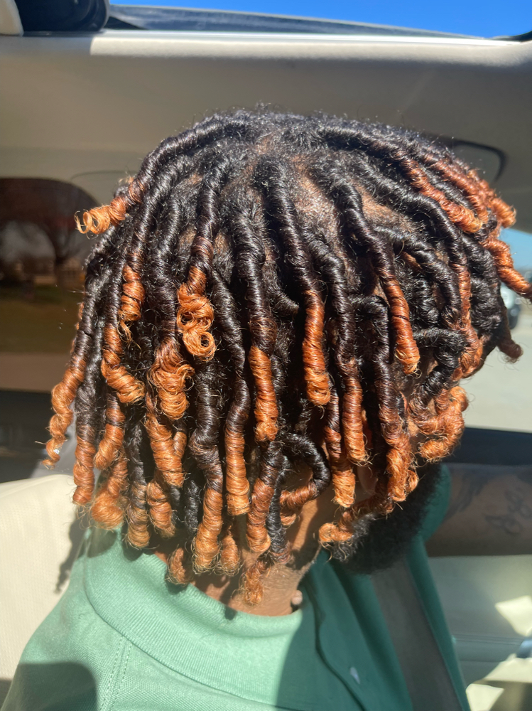 Starter Locs