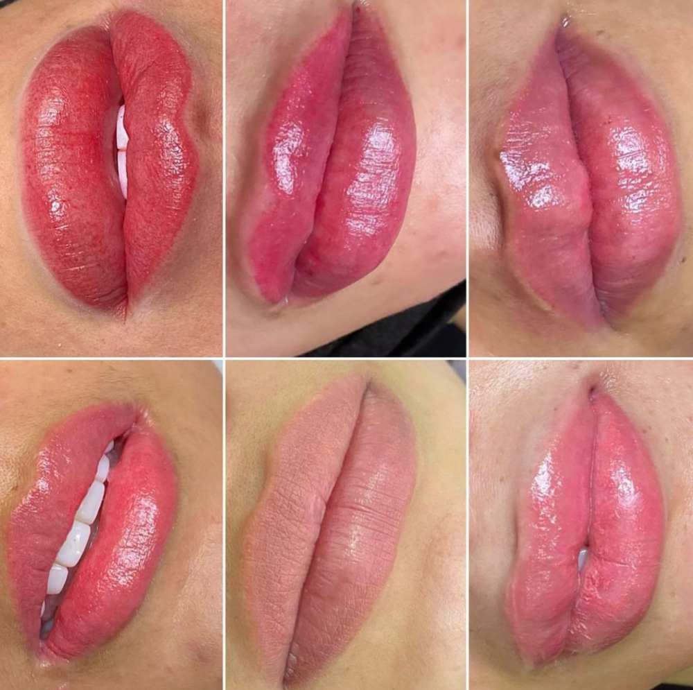 Micropigmentación De Labios at We Love Fantasy in Palm Beach Gardens, FL
