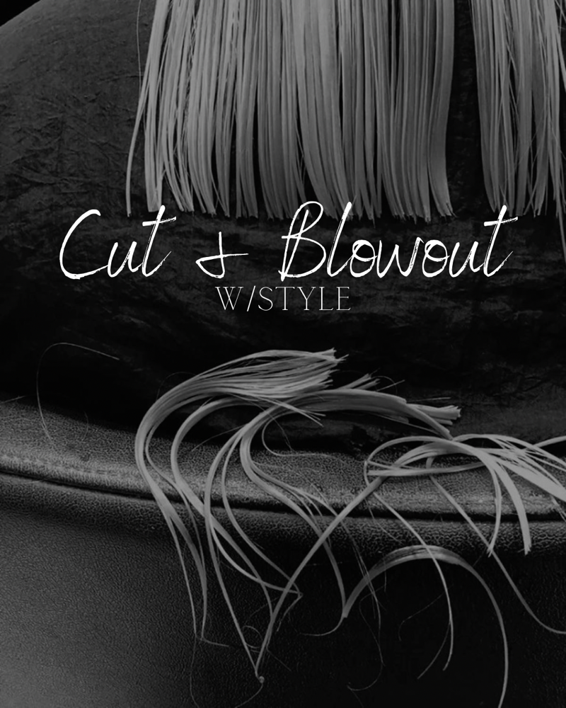 Cut & Blowout W Style at Landin Smith in Asheville, NC