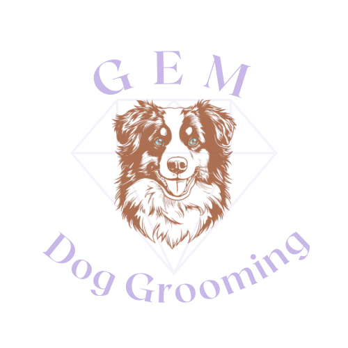 Add On Service at GEM Dog Grooming in Pecos, TX