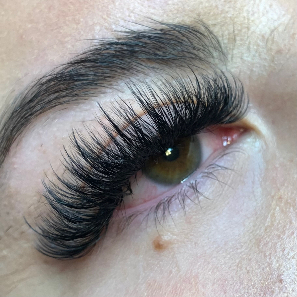 Hybrid Set : Whispy / Regular