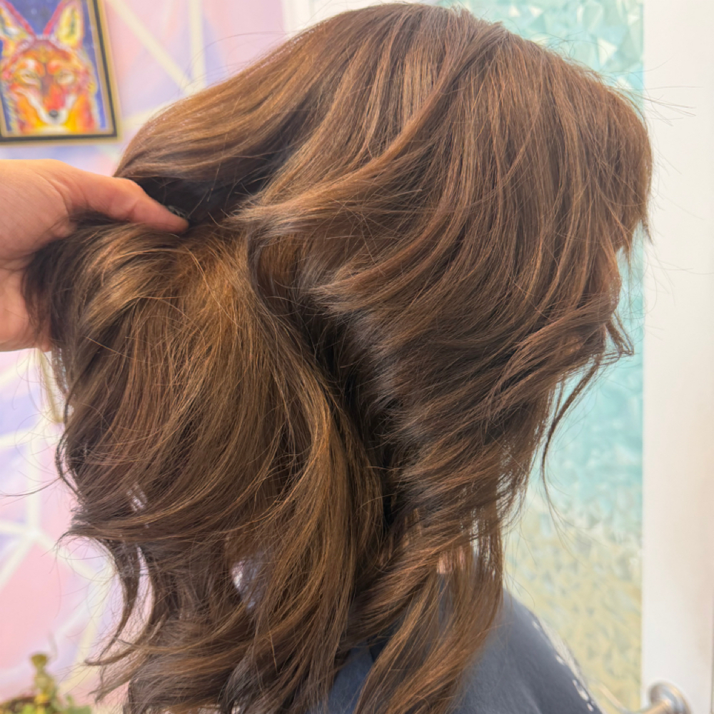Full Color at LunarFlameHair in Palm Harbor, FL