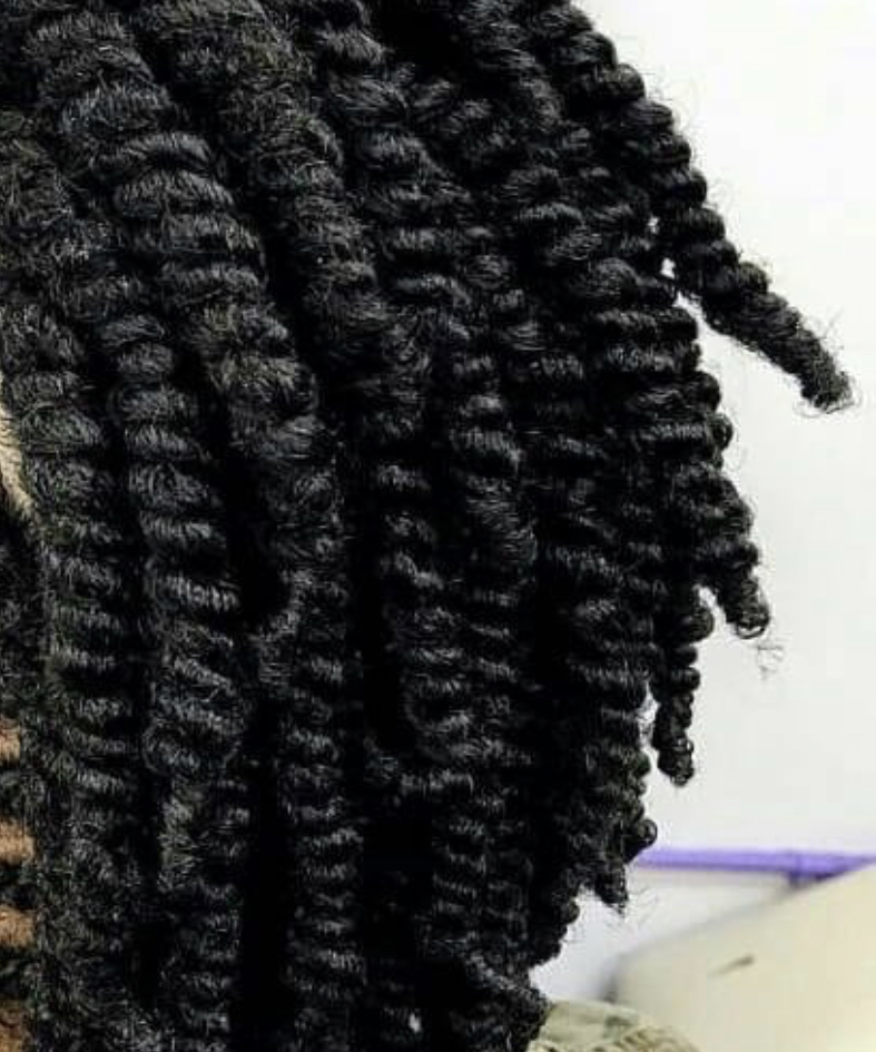 2 Strand Twist On Natural Hair