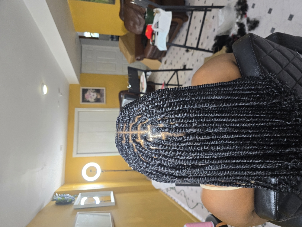 Twist Braids (Medium Twist Braids) at Braids By Veronica in Lanham, MD