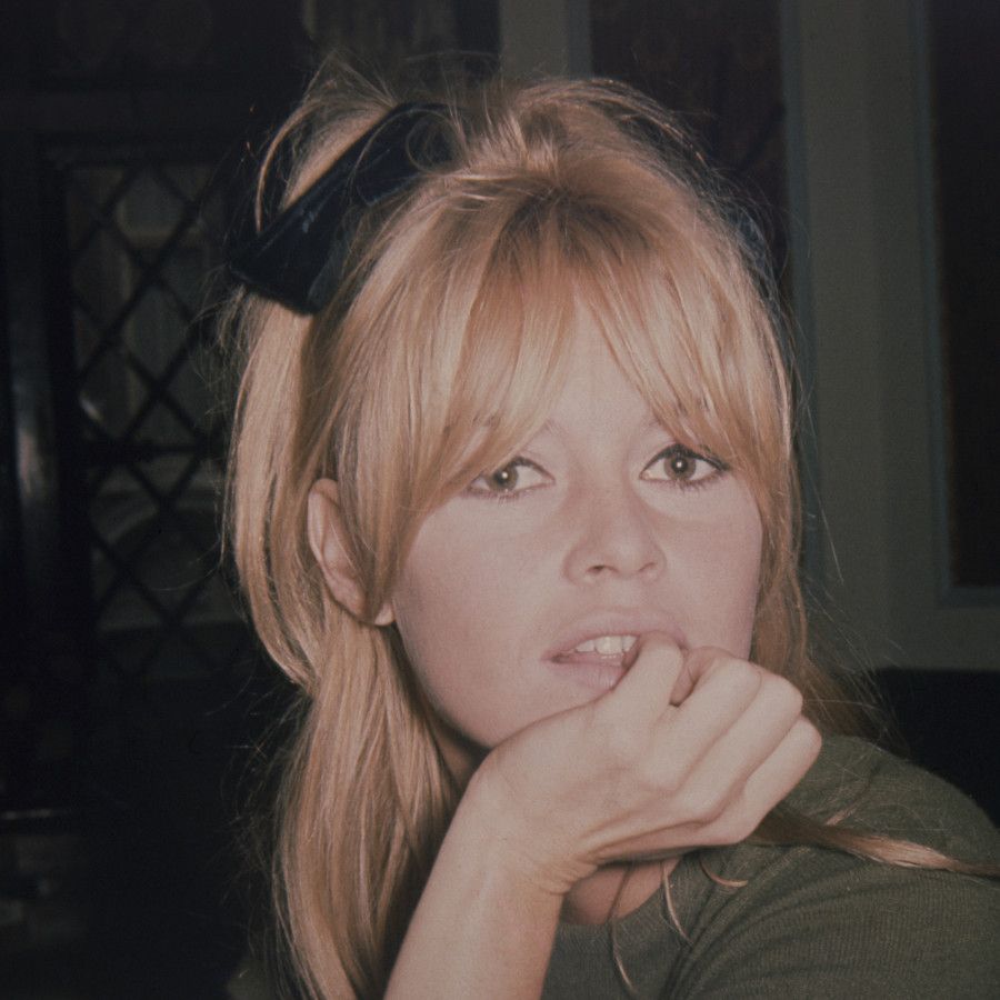 Fringe Trim