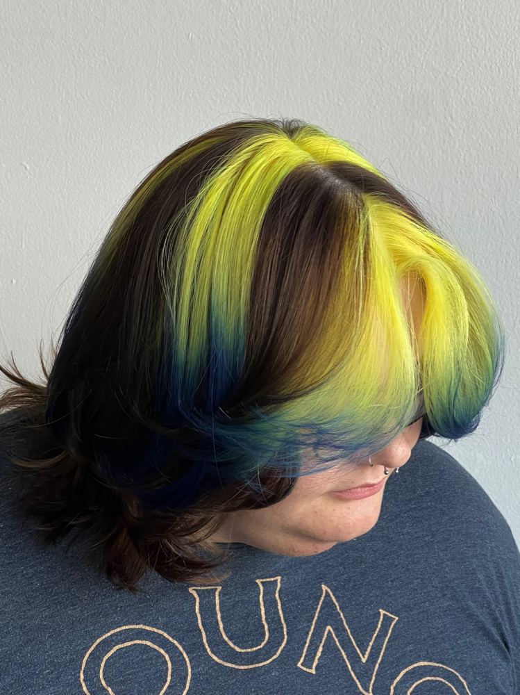 Consultation (Color) at Sappho Snips in Tampa, FL