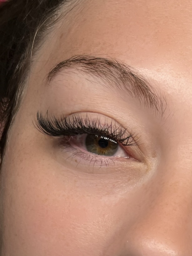 Y-lash fill