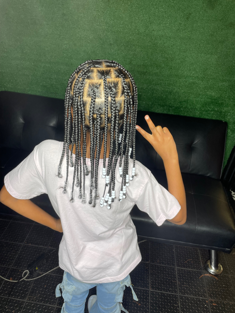 2 Strand Twists/ Plaits