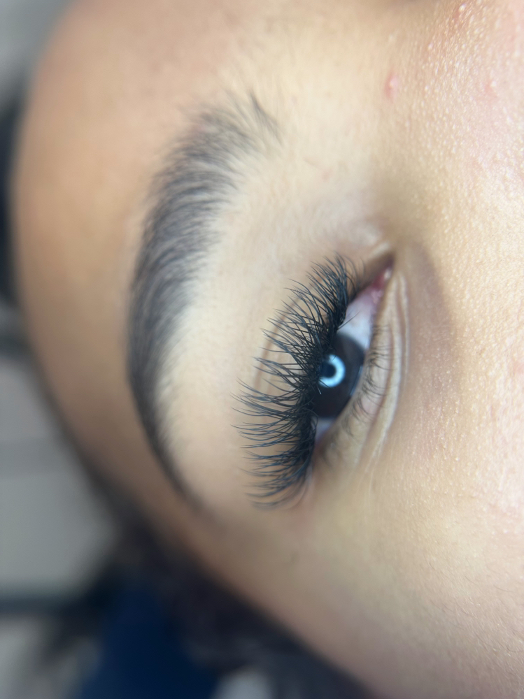 Lash 3-4w Fill