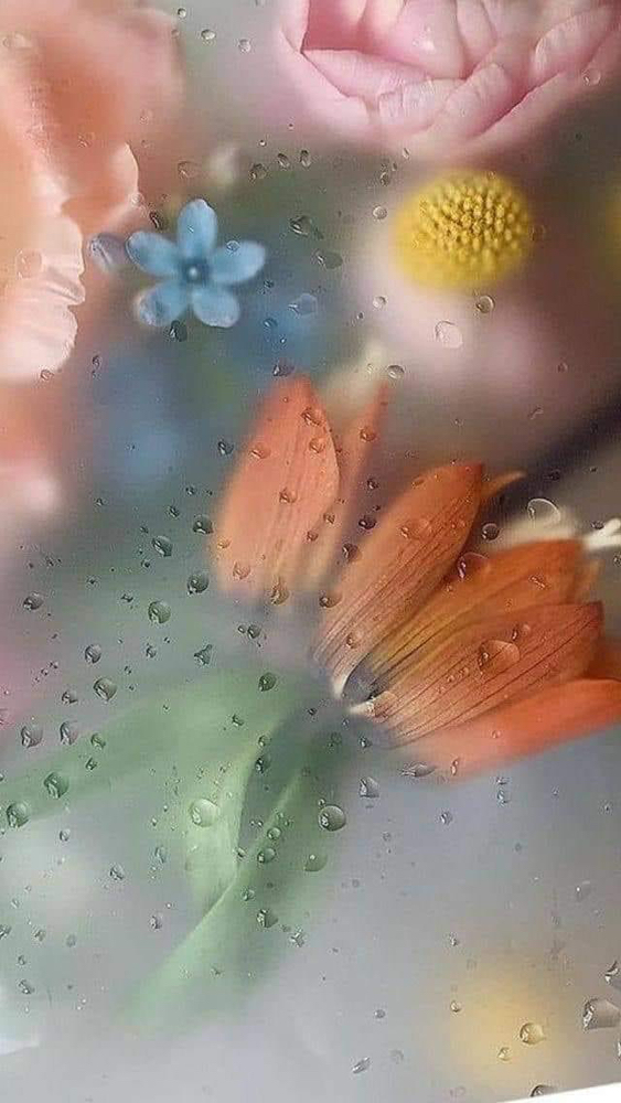 The Goddess Treatment