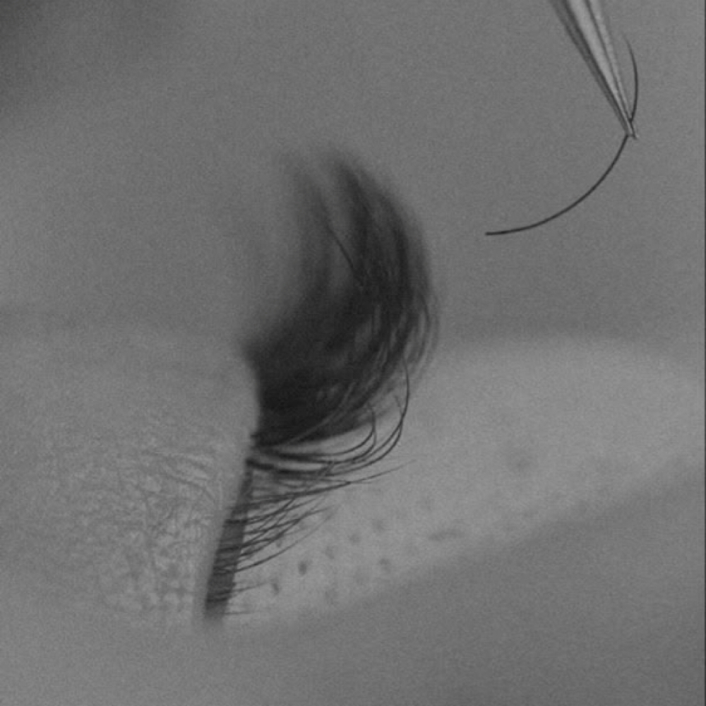 Fox Lashes at BashfulBeauty Studio in Colorado Springs, CO