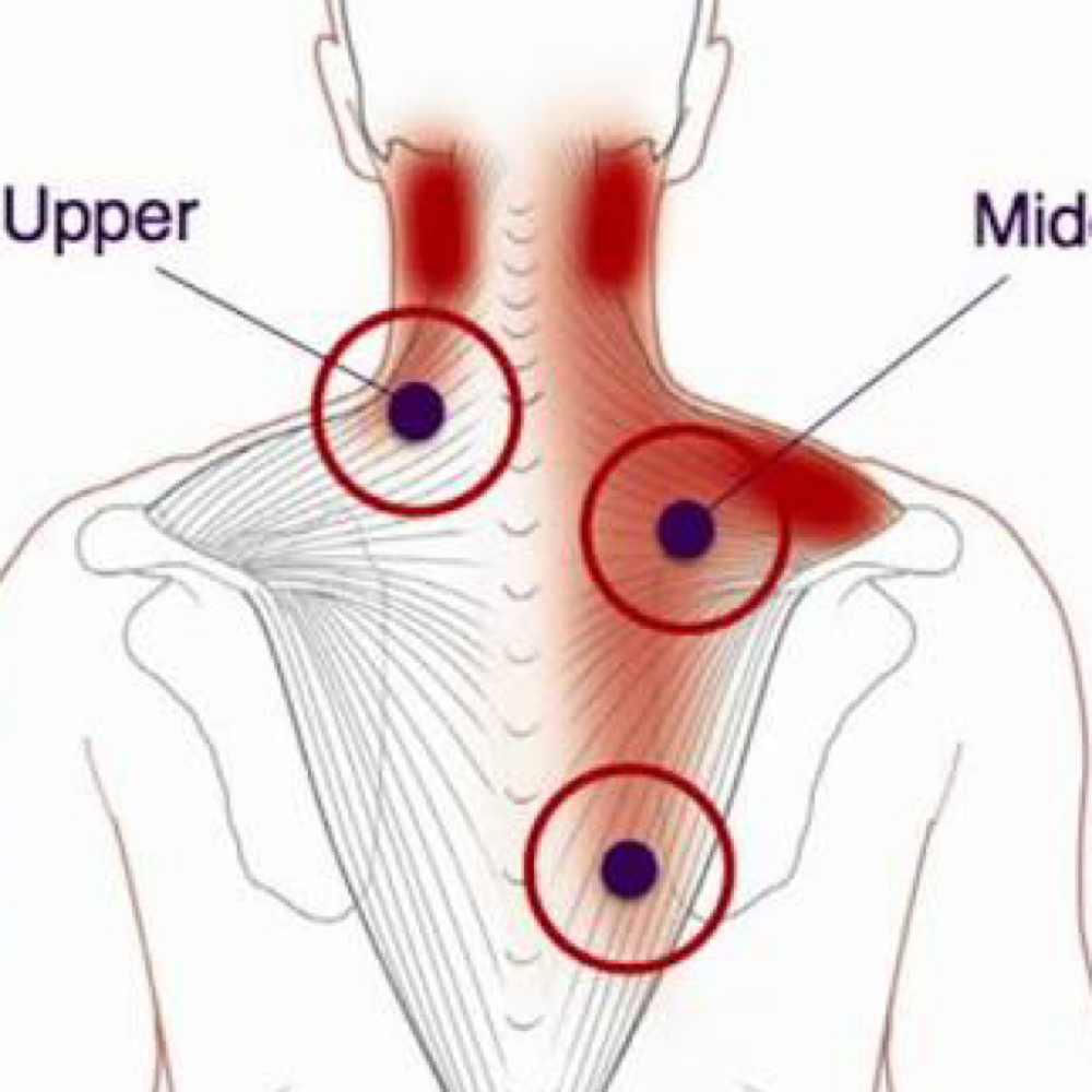 45 Minute Stress Zone Massage at AVIV Massage Therapy in Haysville, KS