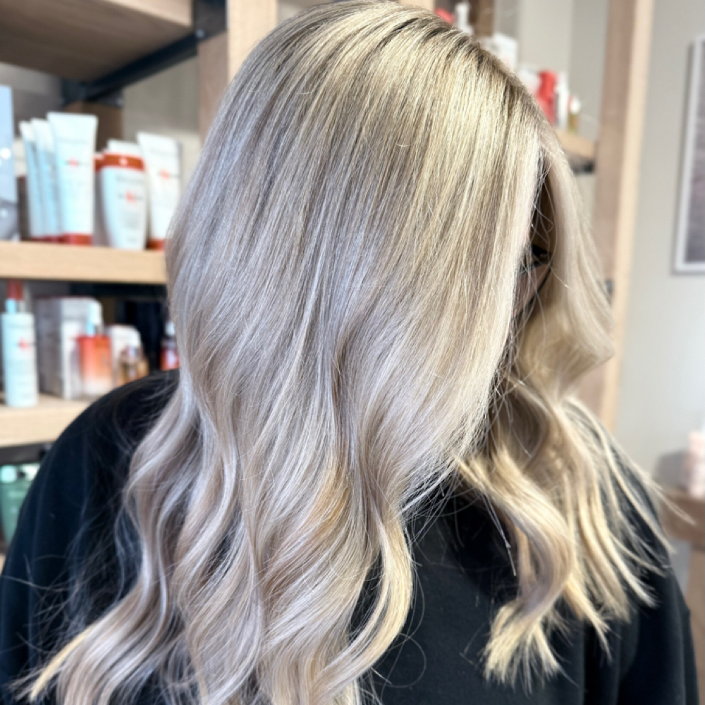 Blondie Babe at Eryn  Thomas in fairborn, OH