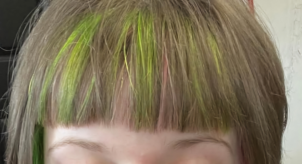 Bang Trim