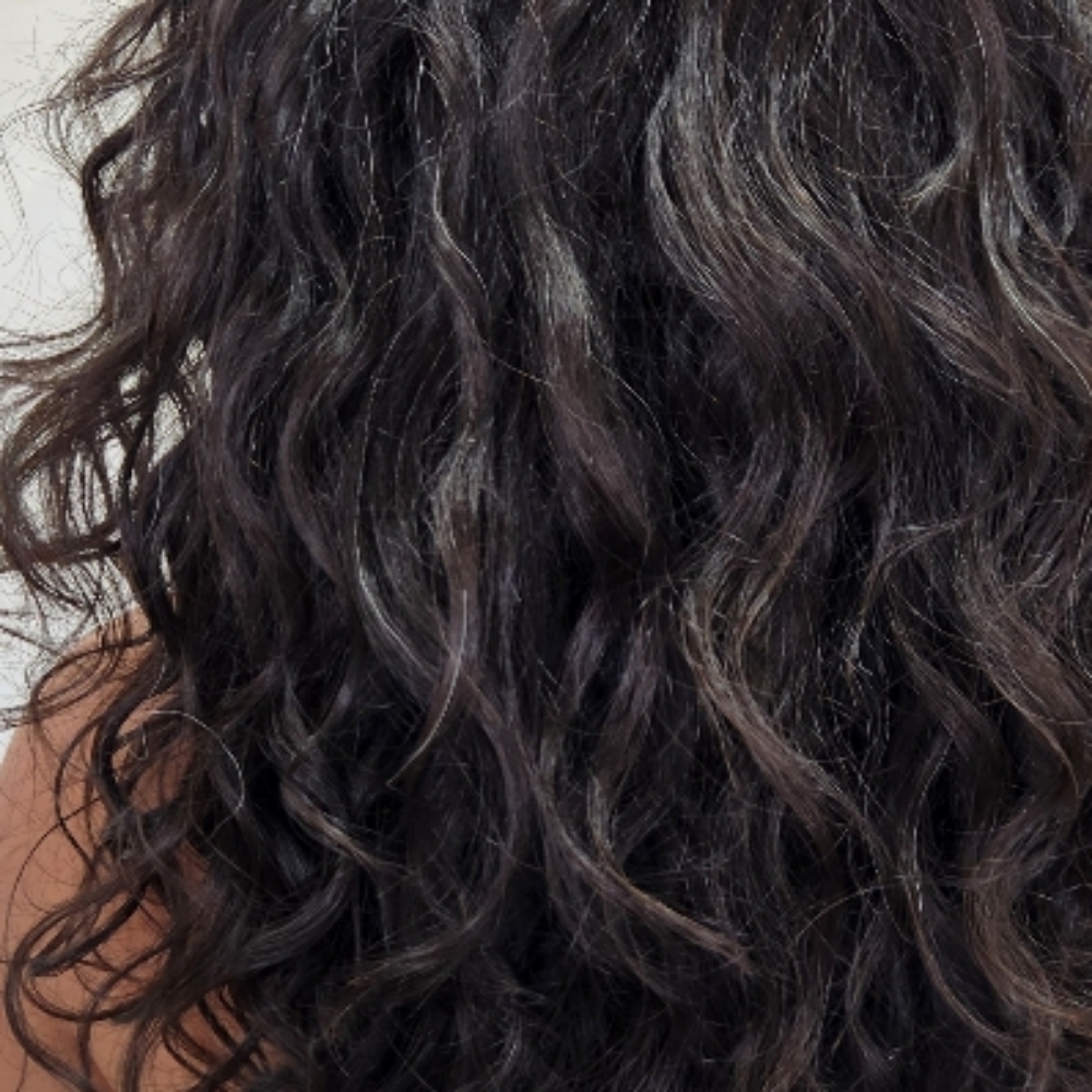 Curly Cut With Grey Covered at Scissors & Sage in Kansas City, MO