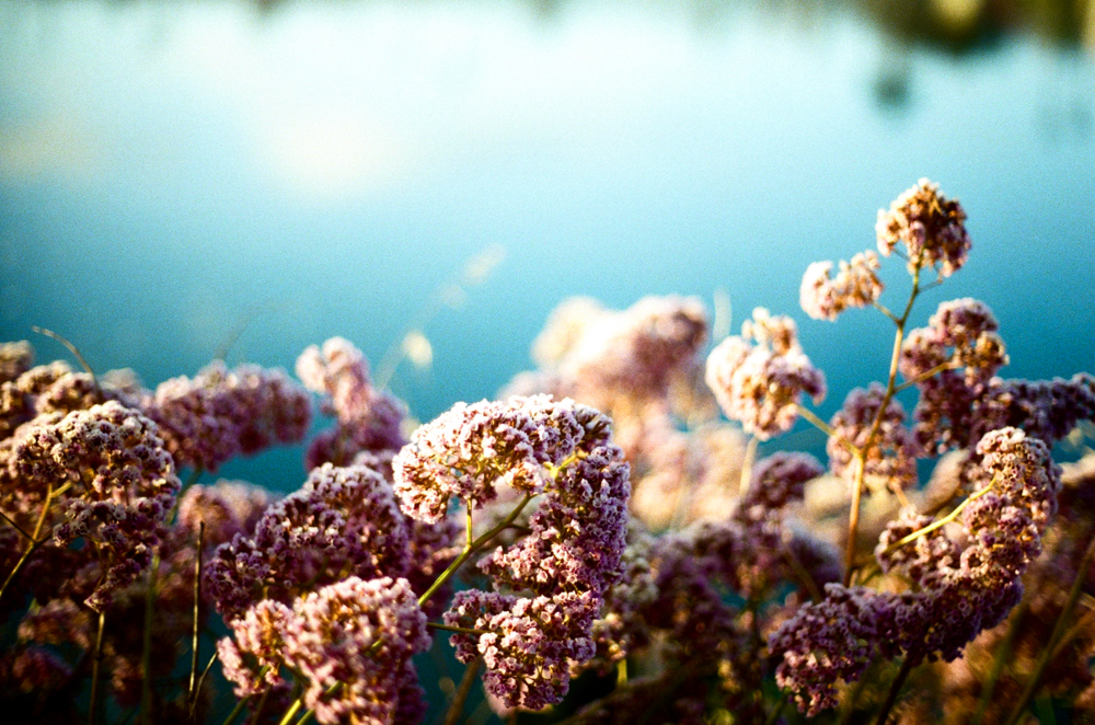 Colour Touch Up And Gloss