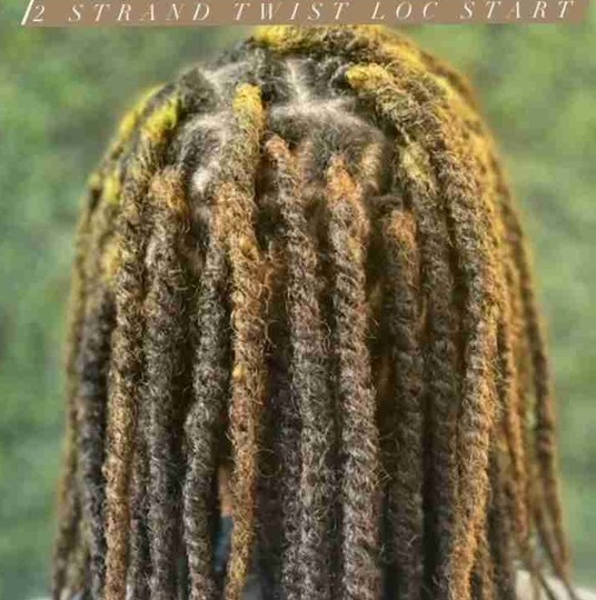 10 Inch 2 Strand twists extensions