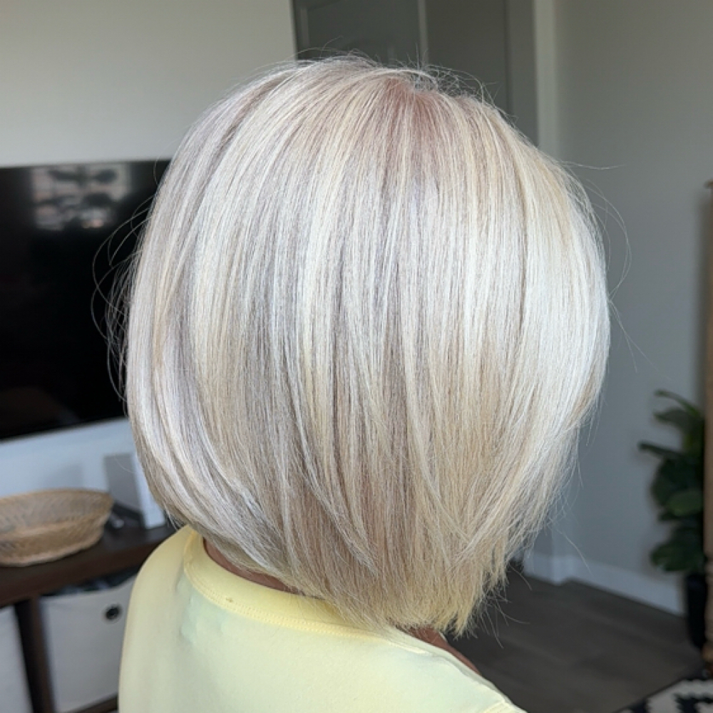 💎 The Grey Transition — First Sess at Heather Gets You Booked in 85142