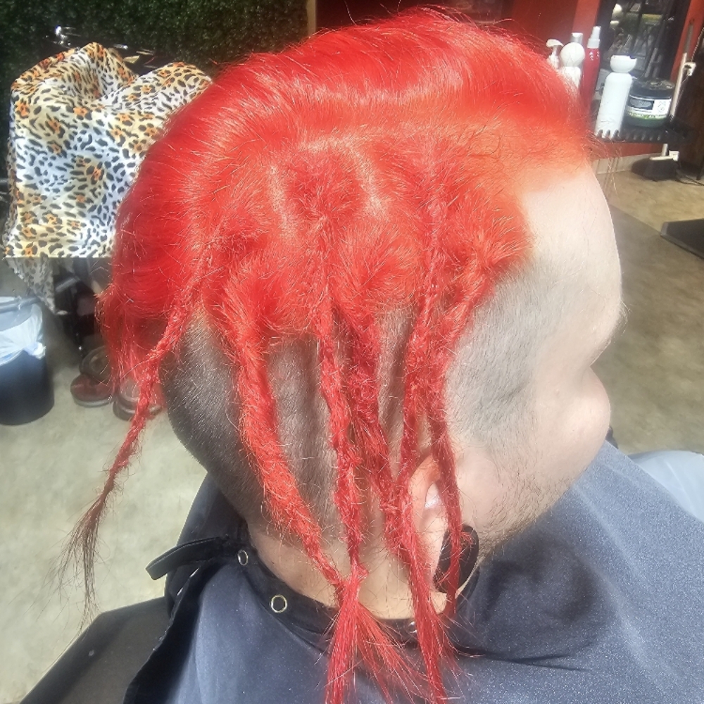 Starter Dreads at Wild Orchid Beauty in Cheyenne, WY