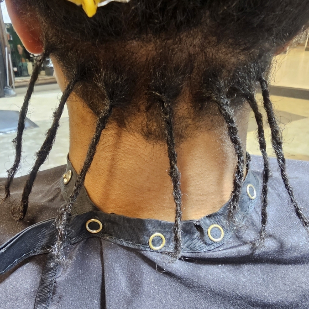 Starter Dreads at Wild Orchid Beauty in Cheyenne, WY