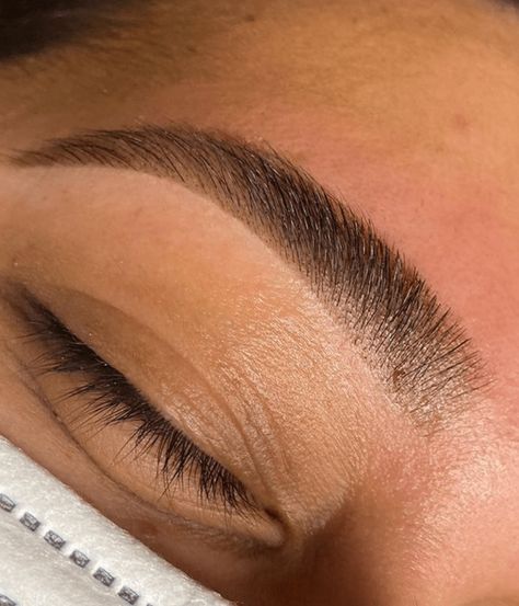 Brow Tint