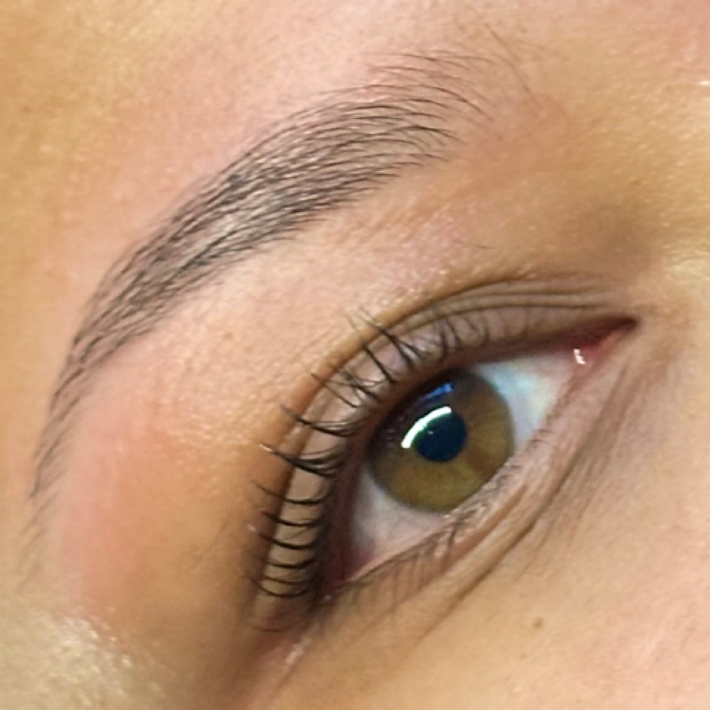 Eyebrow Wax at Skin Academy in New Bedford, MA