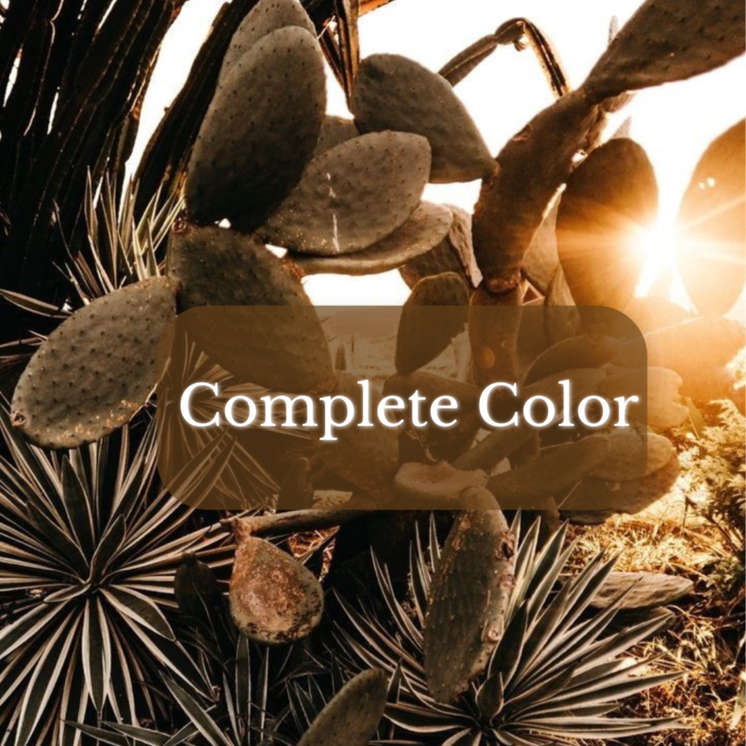 Complete Color at Magnolia on Main in Keene, NH