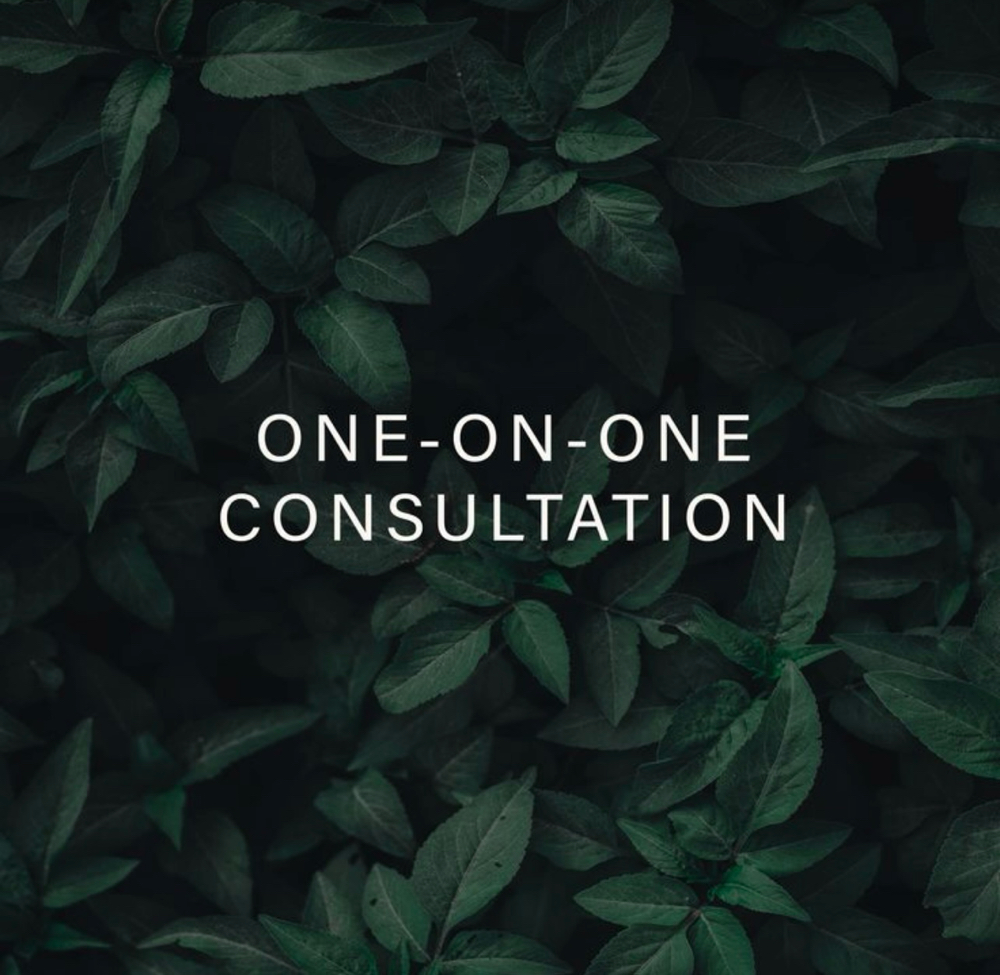 1 On 1 Consultation