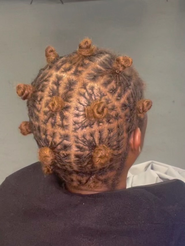 [PLAITS]- MICROLOC ESTABLISHMENT