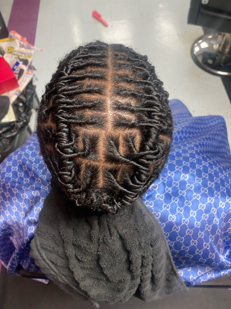 Starter Locs