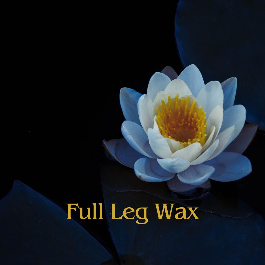 Full Leg Wax at Blue Lotus Beauty Spa in Sheboygan, WI