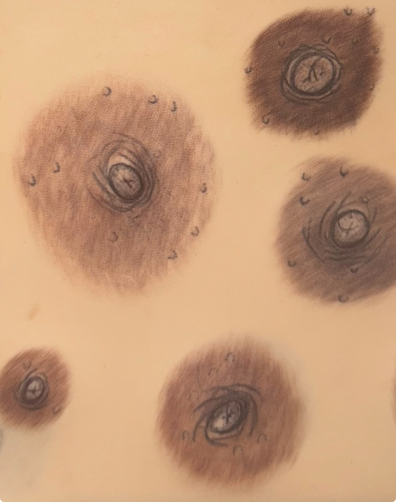 3D Areola Micropigmentation