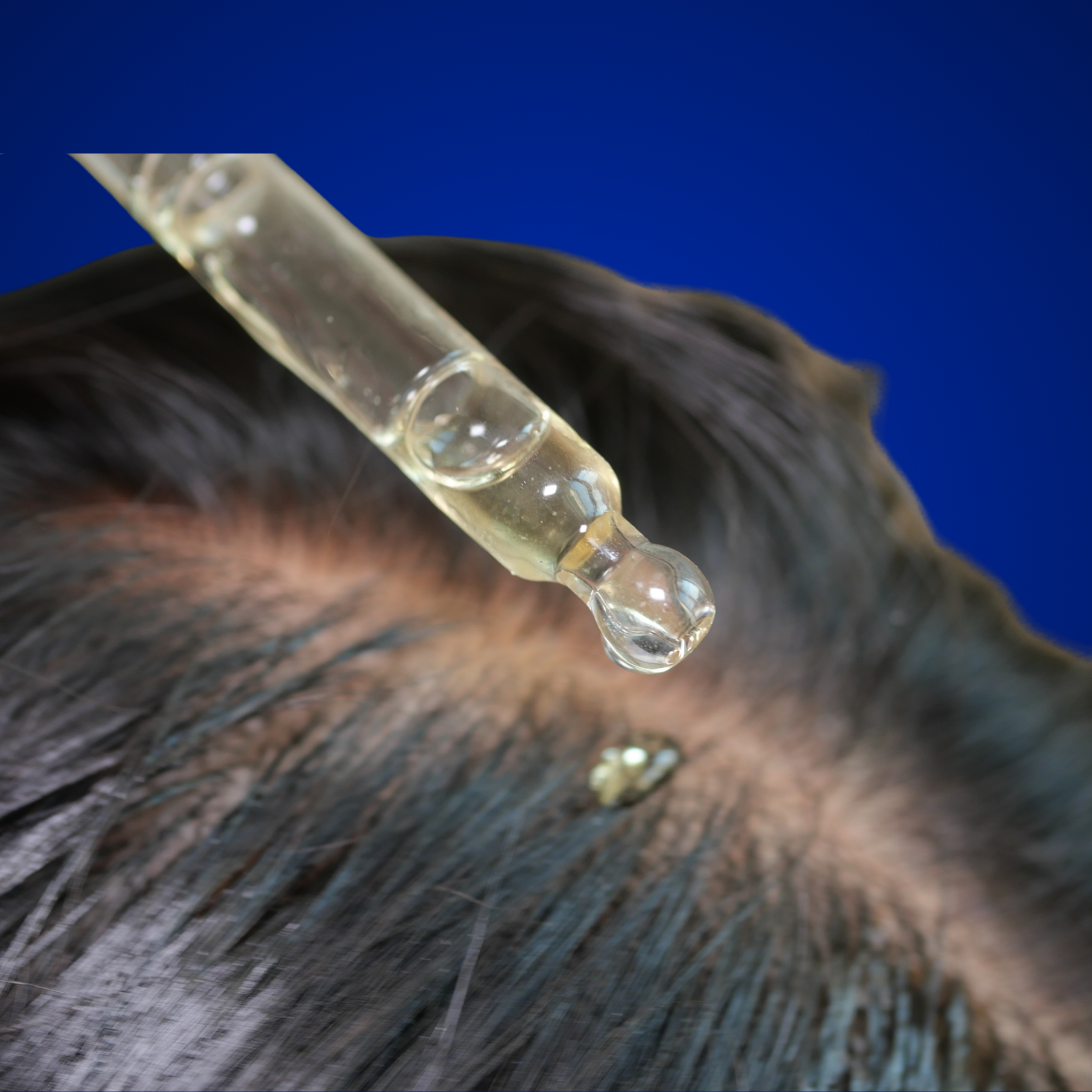 Scalp Health Treatment at The Culler Method in Redlands, CA
