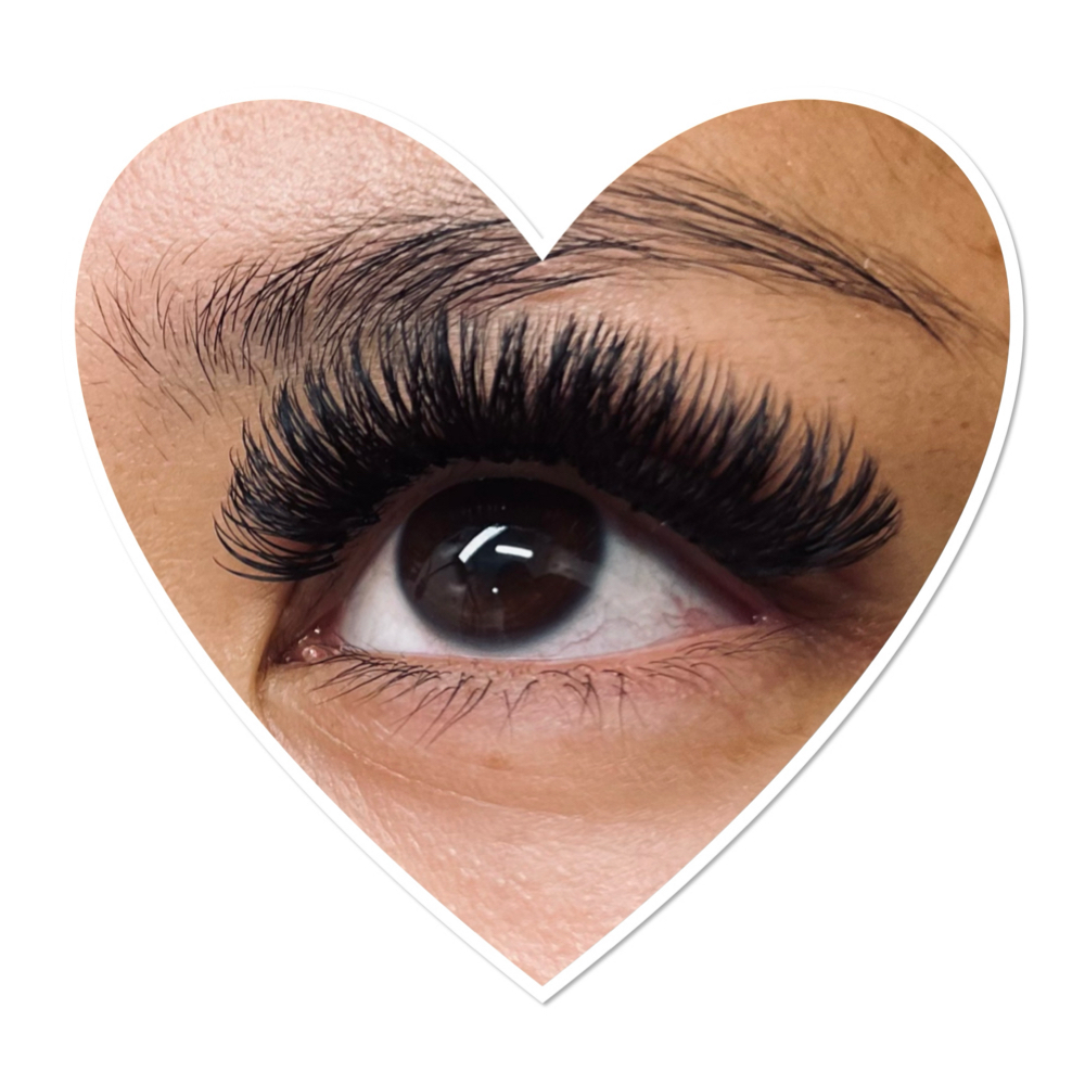 Hybrid/Volume 3 Week Fill at Twisted Lash in Reno, NV