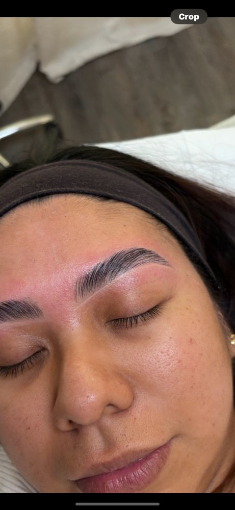 Brow Lamination & Wax