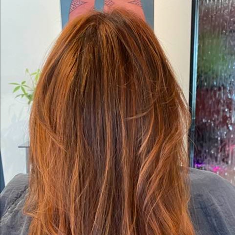 Color All Over & Cut MASTER STYLIST at Ritual Hair Design in Hillsboro, OR