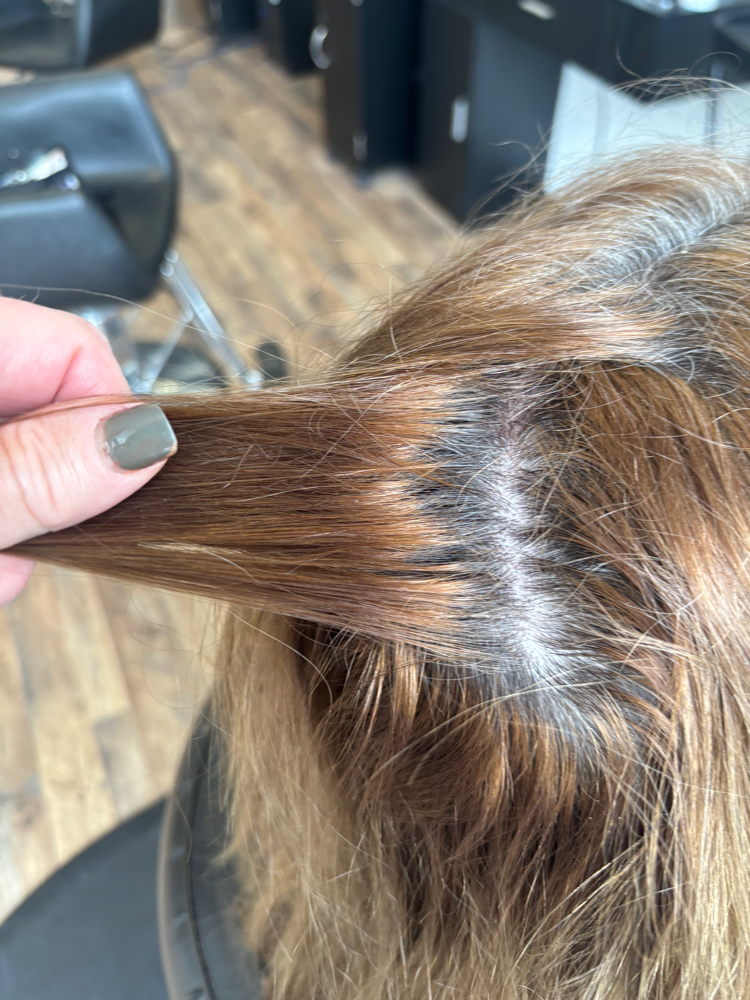 Color Root W/Full Hilites