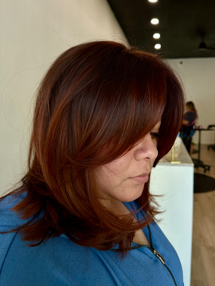 Mini- Detailed Haircut