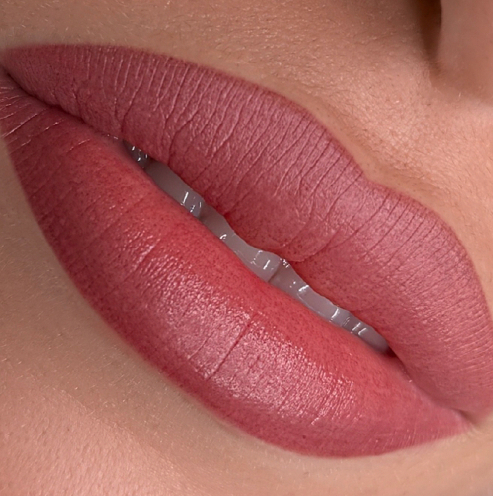Lip Blush Model at Brow Logic in Dunedin, FL