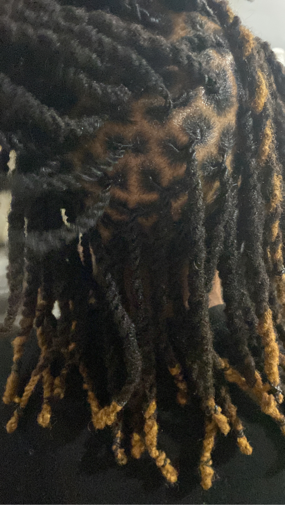 Loc Retwist (palm Roll Only )