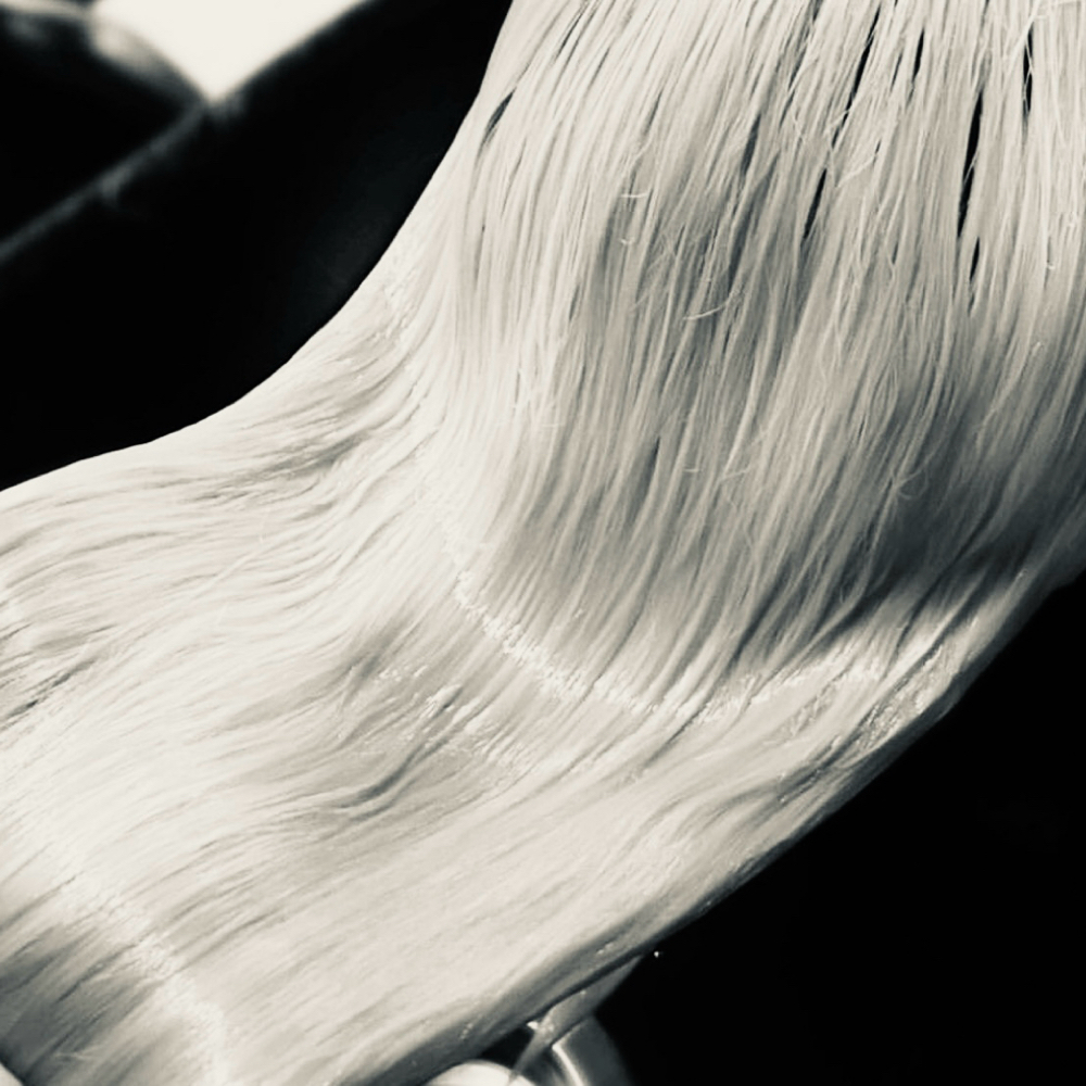 Full Blonde at Sandra Arraiga in Long Beach, CA