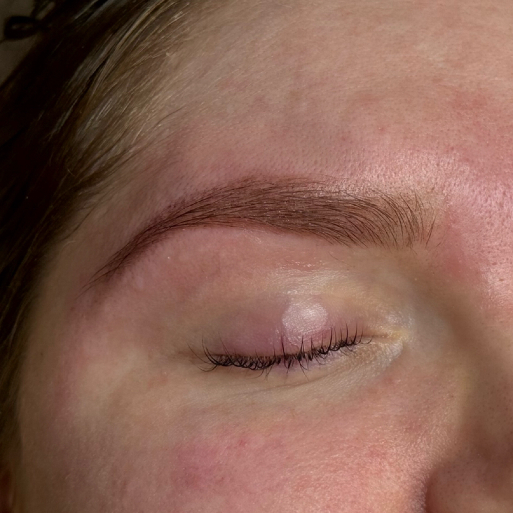 Brow Tint at Dolled Up by Daltrey in Wichita, KS