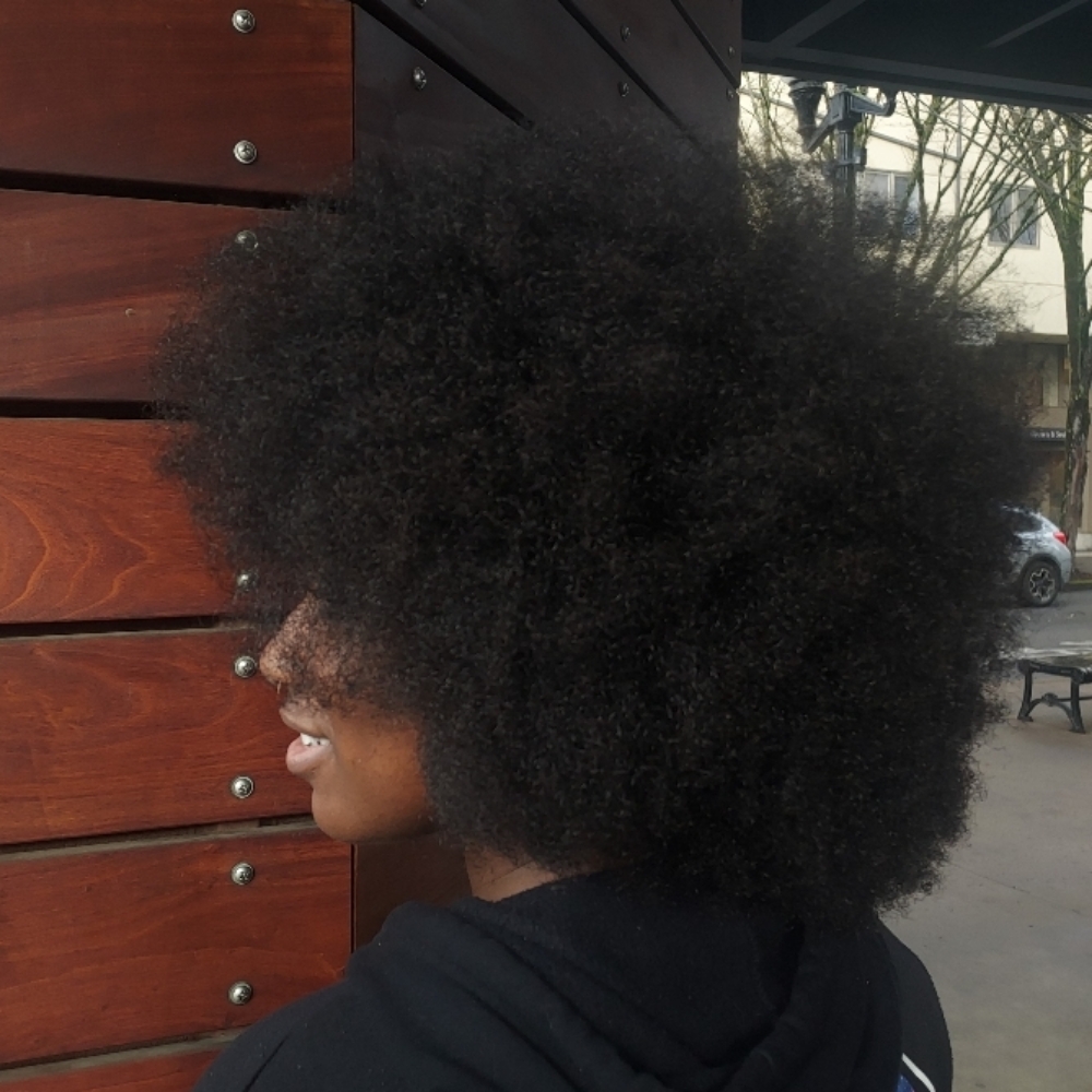 Cut & Style (kinky/ coily hair) at Sarah Gulino in Eugene, OR