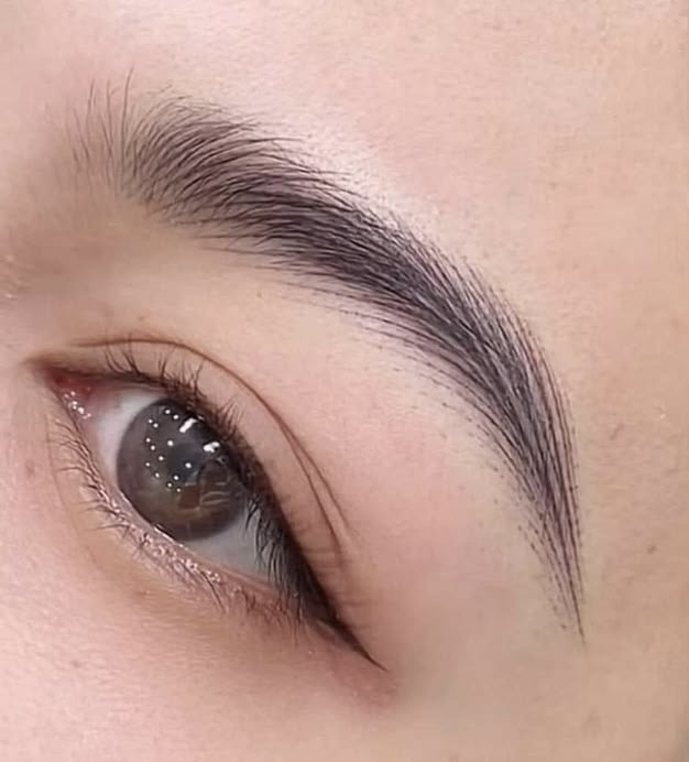 Nano Hairstroke Brows at C.C Microbeauty in Fort Worth, TX